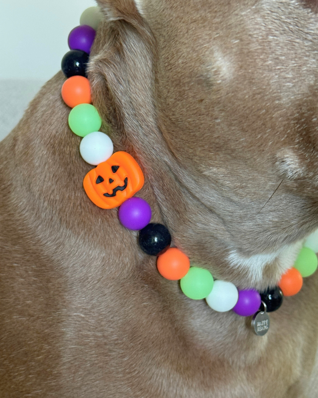 Spooky Glow Dog Necklace – Handmade Silicone Beads