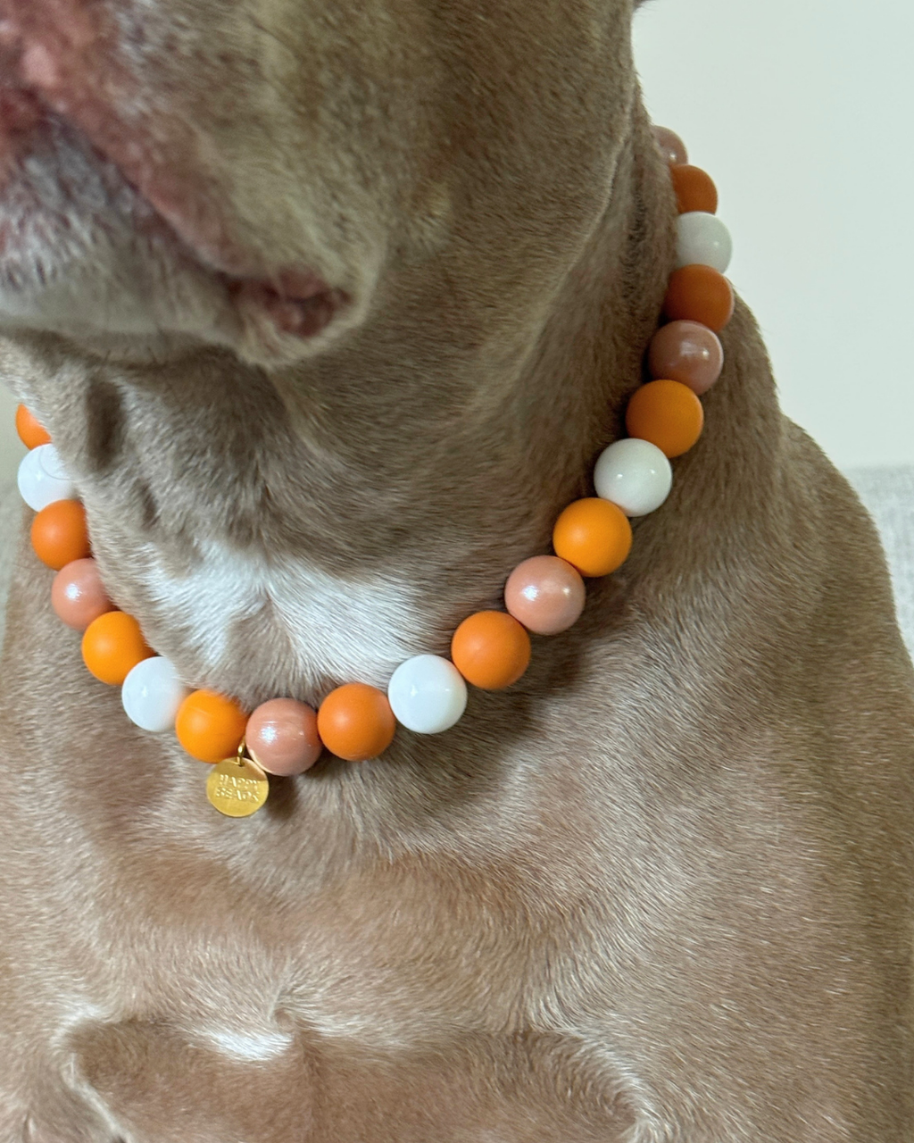 Pumpkin Patch Dog Necklace – Handmade Silicone Beads