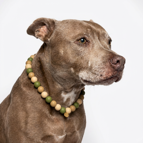 Happy Beads Forest Buddy dog necklace with handmade silicone beads, featuring a playful forest-themed design for pets.