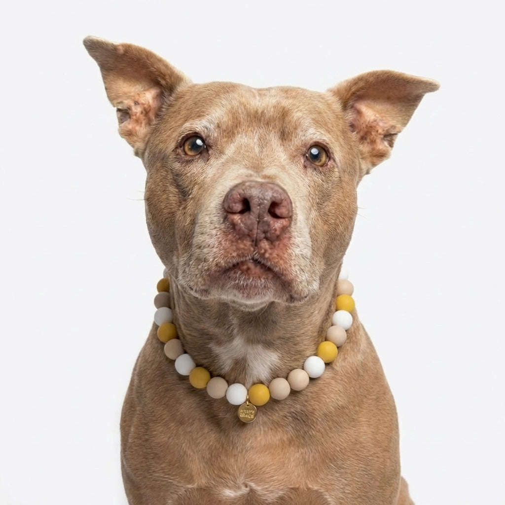 Handmade Honey Cream silicone beaded dog necklace from Happy Beads, featuring a stylish and colorful accessory for pets.