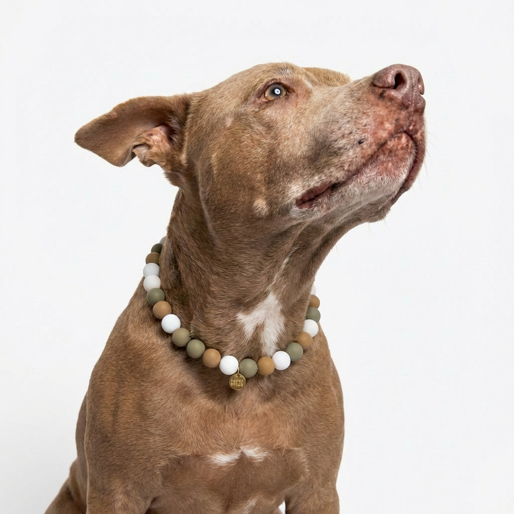 Olive Latte handmade silicone bead dog necklace with green and beige beads, stylish accessory for small dogs, by Happy Beads