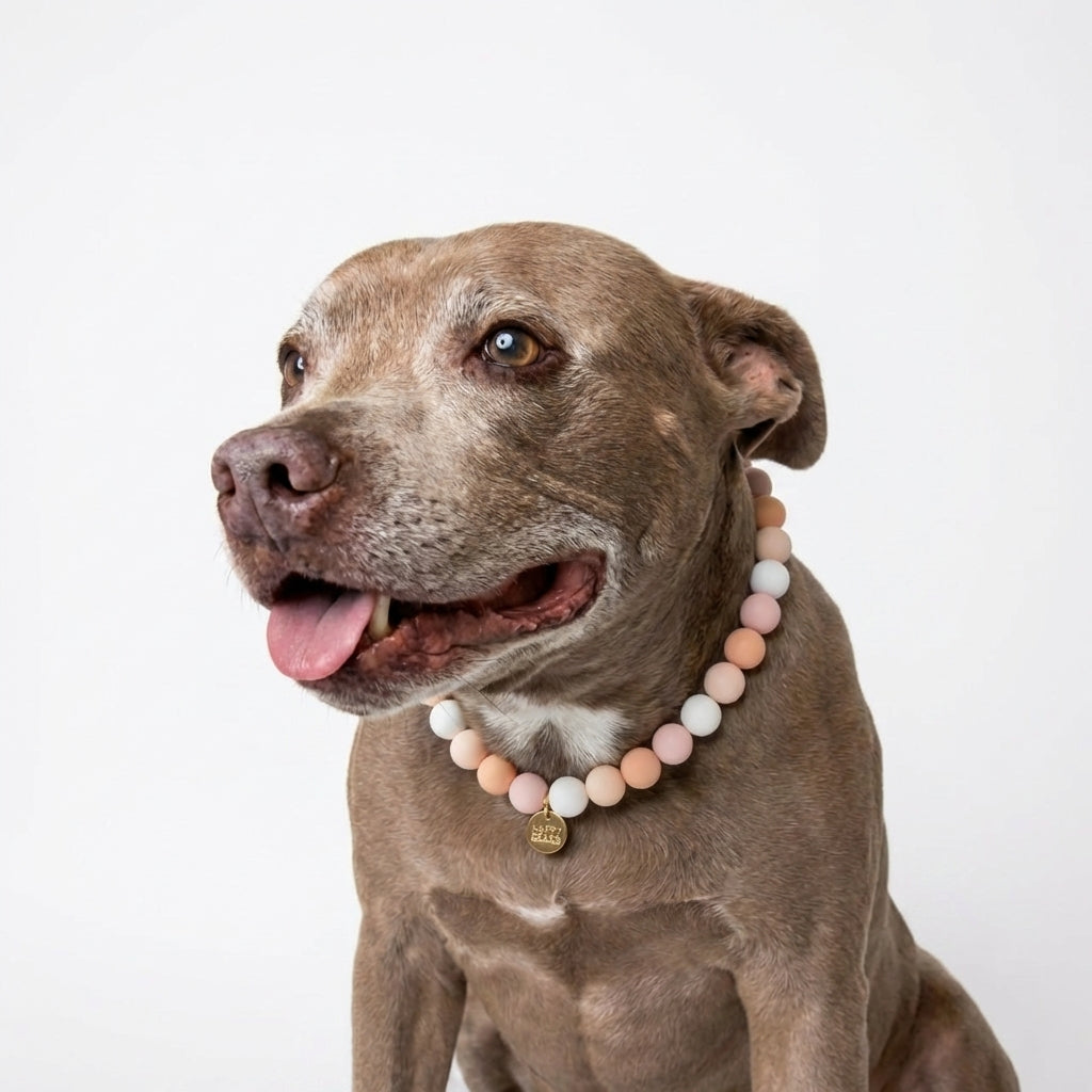 Soft peach handmade silicone bead dog necklace by Happy Beads, featuring a comfortable, stylish accessory for dogs.