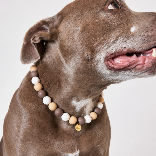 Cocoa Pebble Dog Necklace – Handmade Silicone Beads