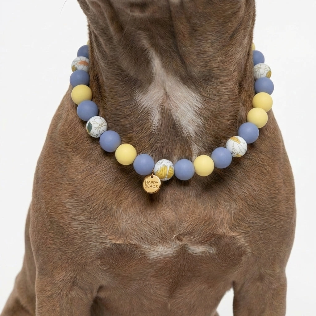Close-up of Sunny Bloom handmade silicone bead dog necklace by Happy Beads, featuring colorful, round beads on a soft collar.