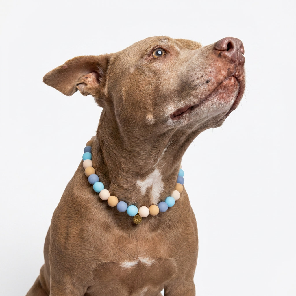 Sunny Coast dog necklace by Happy Beads featuring handmade silicone beads on a stylish dog accessory.