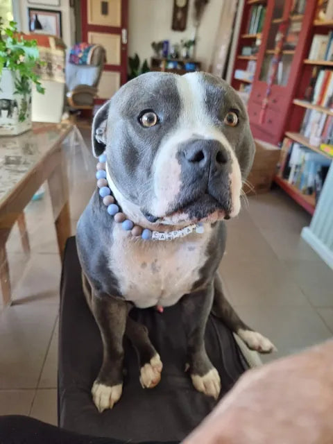 Caspian wearing a Happy Beads necklace