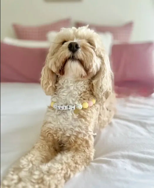 Daisy wearing a Happy Beads necklace